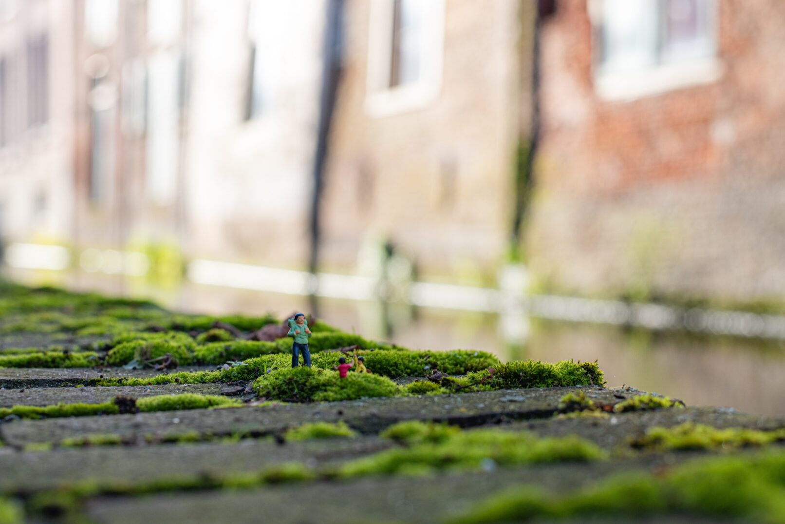 Foto: Keith Montgomery