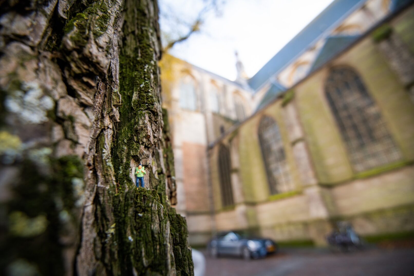 Foto: Keith Montgomery